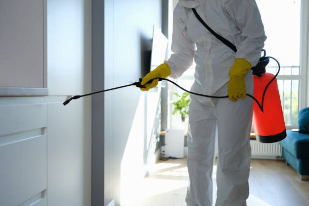 Best Residential Mold Removal  in Chester, MD